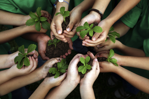 tu bishvat festa ebrei capodanno alberi