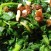 spinaci alla romana ricetta pinoli uvetta