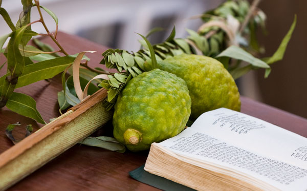 hosha ana rabbà sukkot lulav 