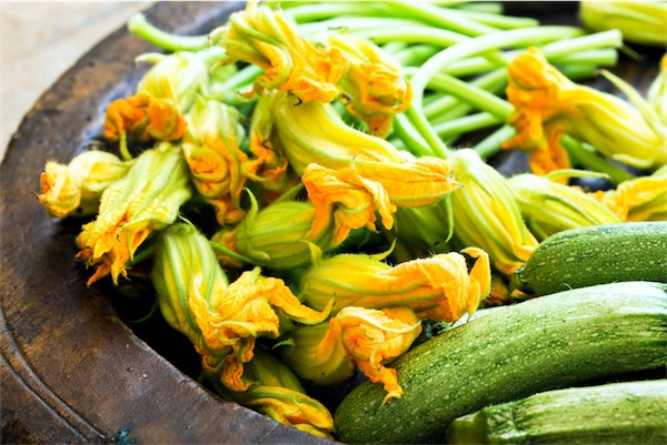 ricetta pasta fiori di zucca zucchine kosher