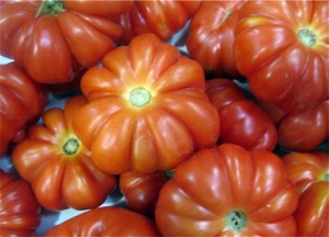 pomodori mezzi casalino taverna del ghetto
