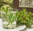 the menta tavern del ghetto