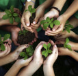 tu bishvat festa ebrei capodanno alberi