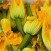 zucchine romanesche fanno bene