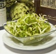 puntarelle salsa alici piatto cucina romana