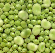 vignarola romana carciofi fave piselli