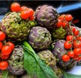 carciofi romaneschi