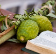 hosha ana rabbà sukkot lulav