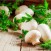 ricetta straccetti manzo funghi champignon